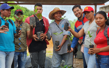 ambiental1