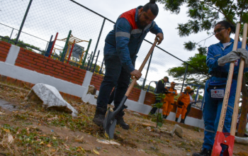 ambiental3