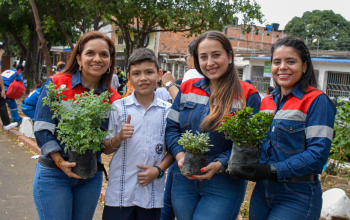 ambiental4